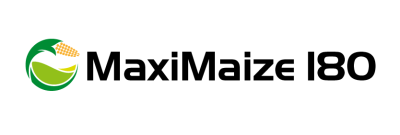 Mazimaize 180