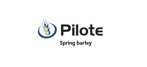 Pilote