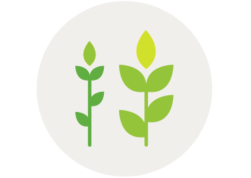 Plant healt biologicals icon