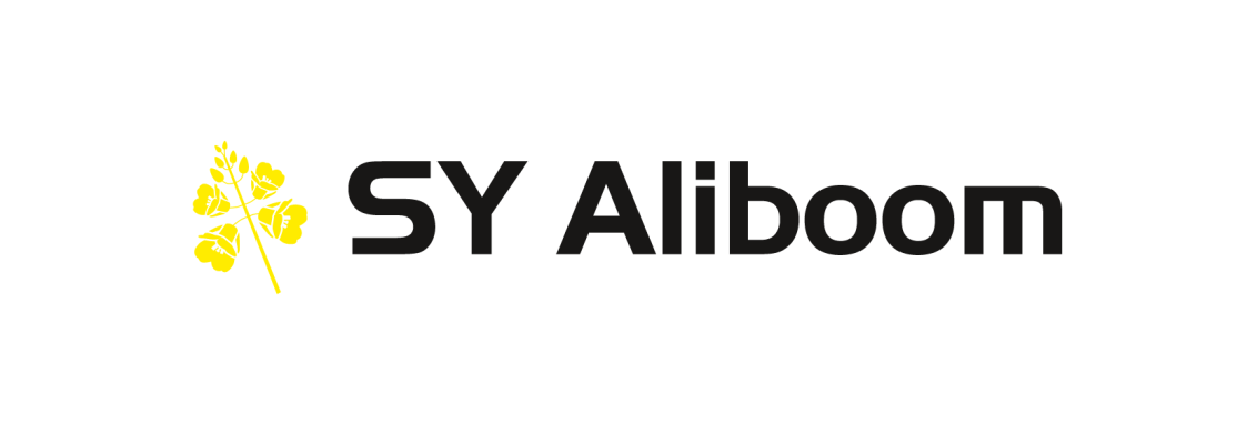 Aliboom logo