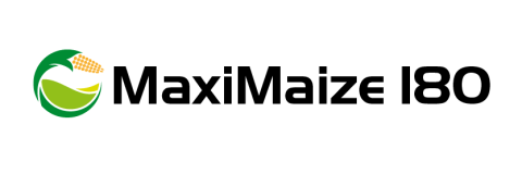 Mazimaize 180