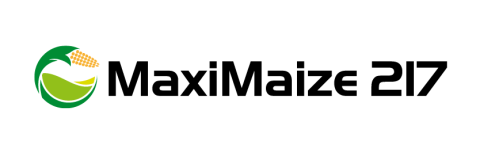 MaxiMaize 217