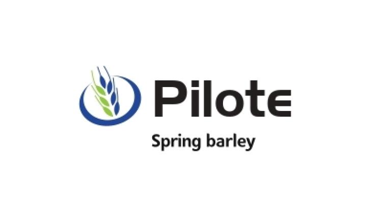 Pilote