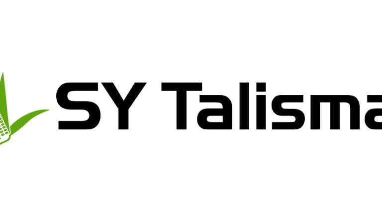 SY Talisman
