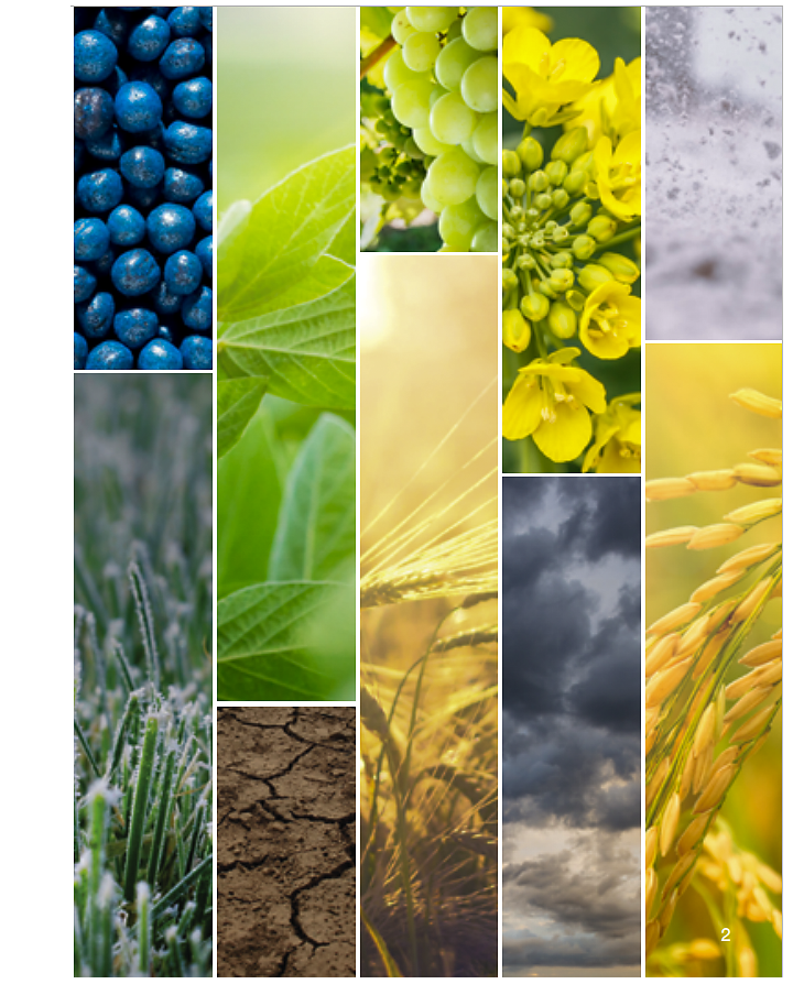 Biologicals collage
