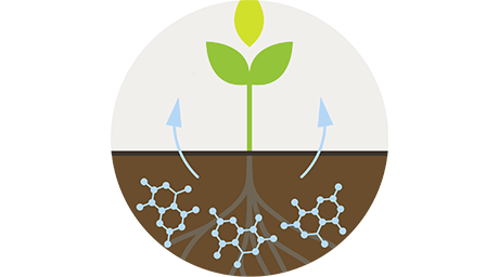 Biocontrols icon