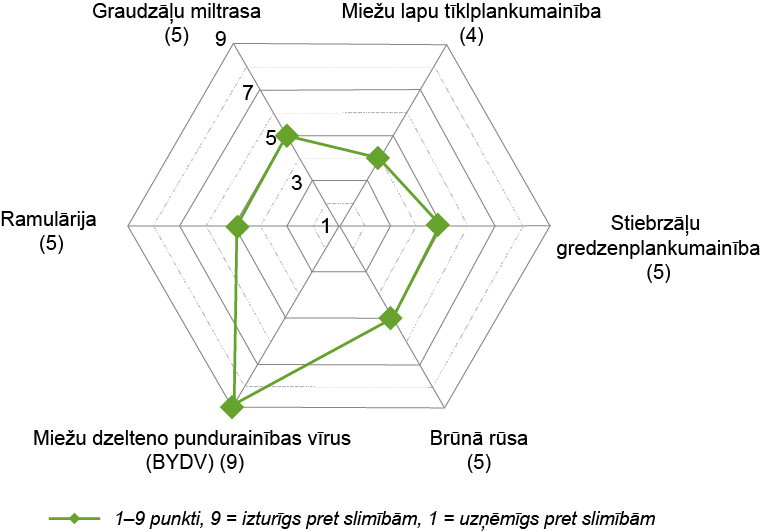 SY Loona disease spectrum LV