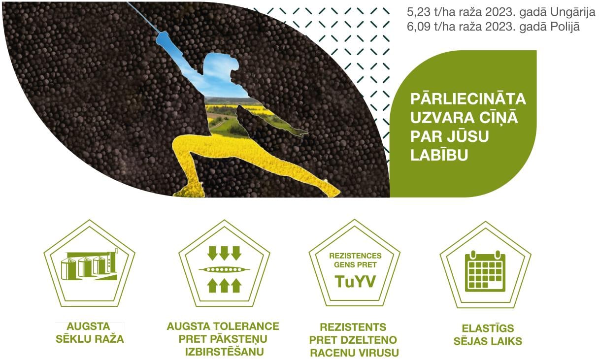 SY Floretta banner