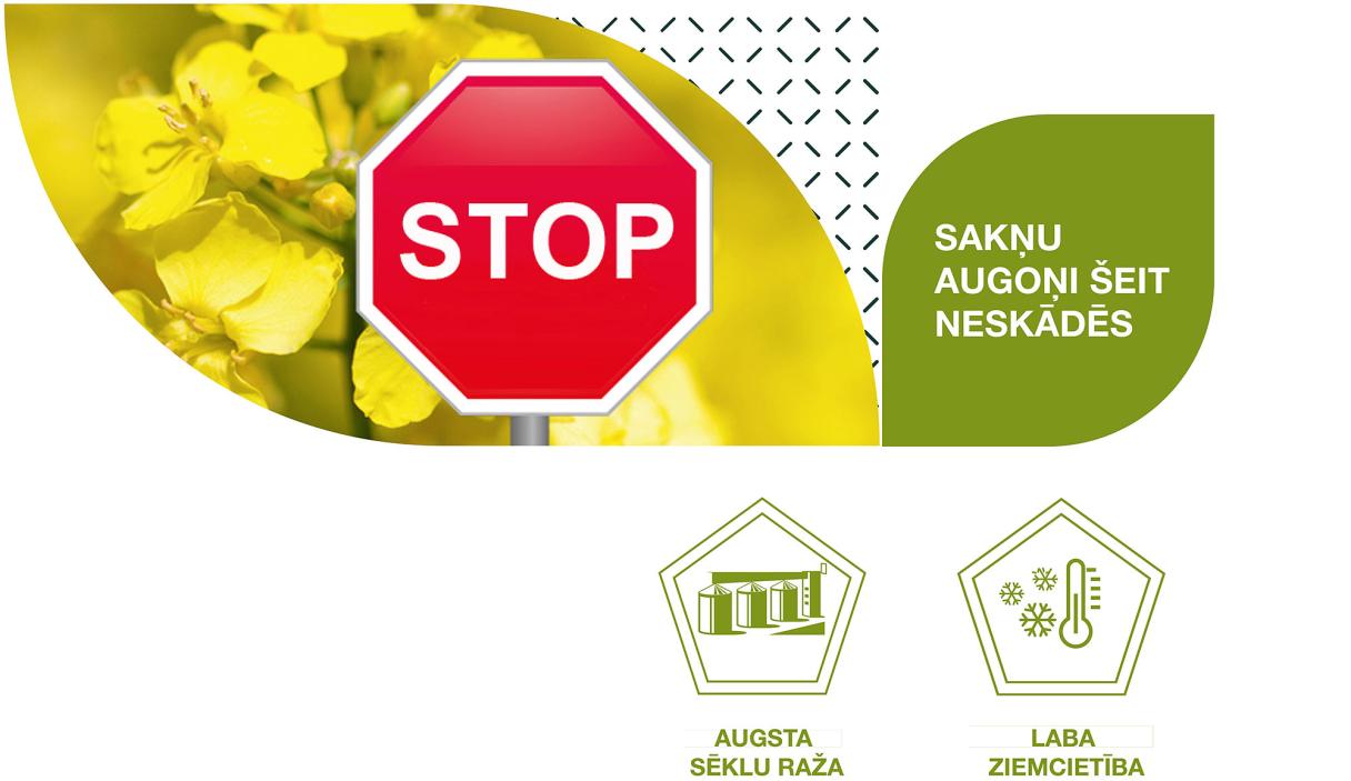 SY Alix banner