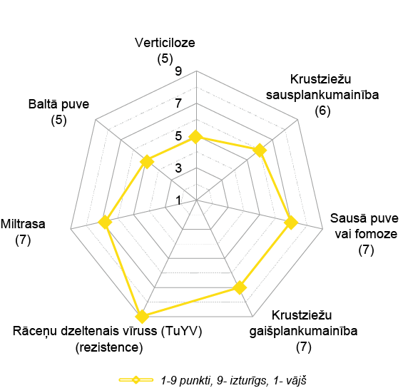 SY Floretta spectrum