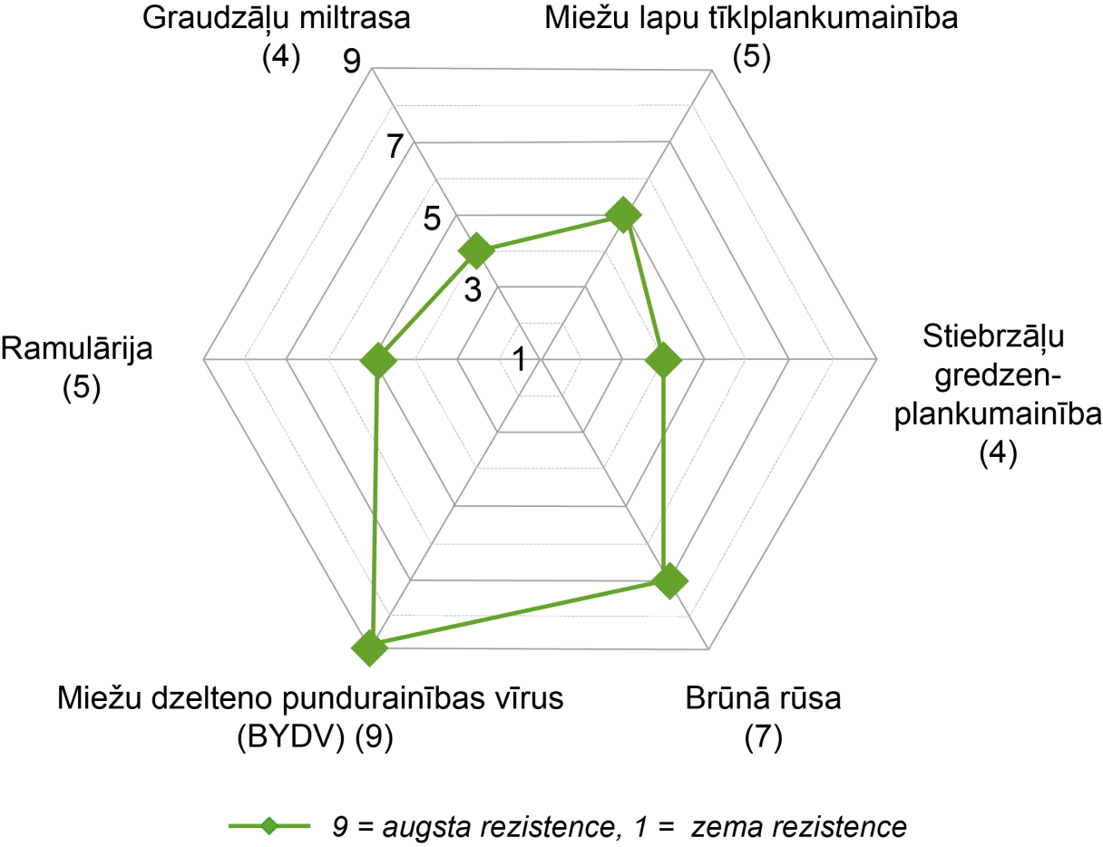 SY Baracooda spectrum v3