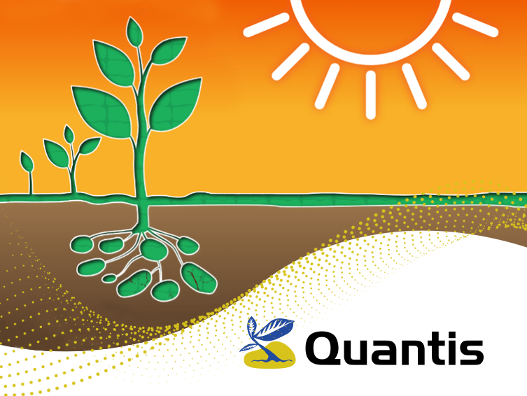 Quantis thumbnial 770px v3