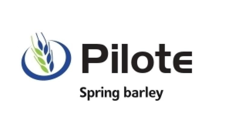Pilote