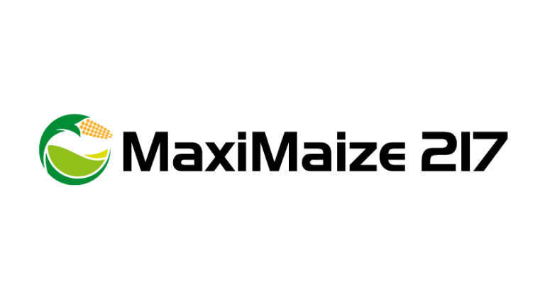 MaxiMaize 217